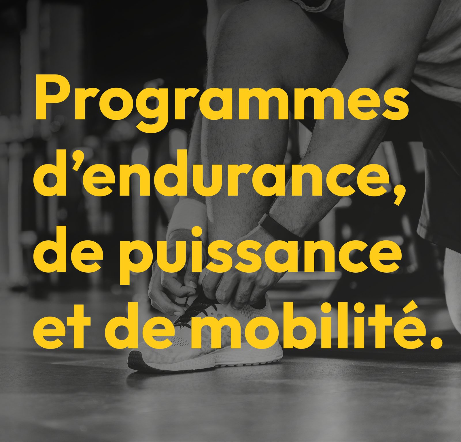 mobilite-AE