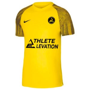 Maillot AE x Nike Jaune